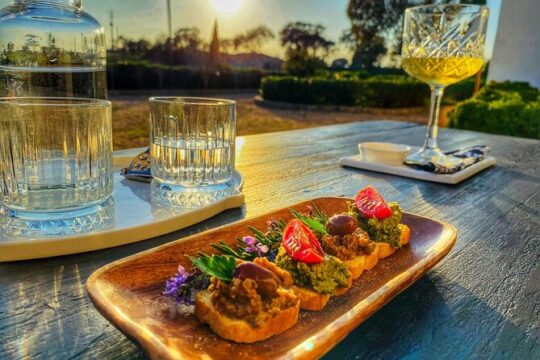 Gastronomic Wine tasting in Mértola, Alentejo