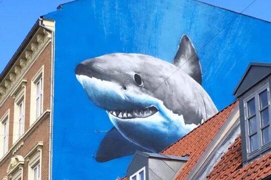 Street Art and Rooftops of Aarhus, Denmark