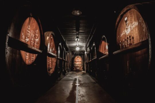 Wine tasting and immersive cellar tour