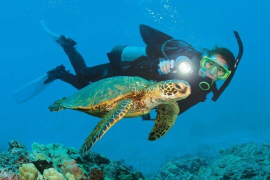 From Side, Alanya: Scuba Diving With 2 Time Dive & Lunch