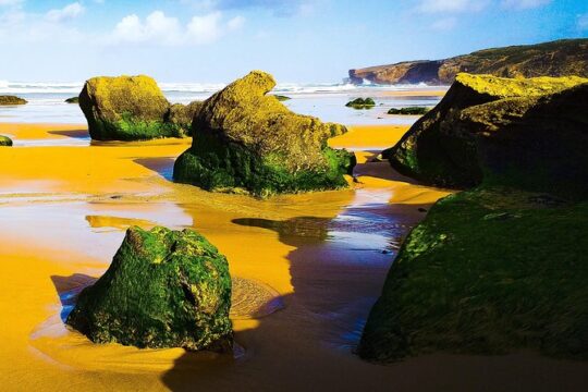 Private Tour West Coast Full Day
