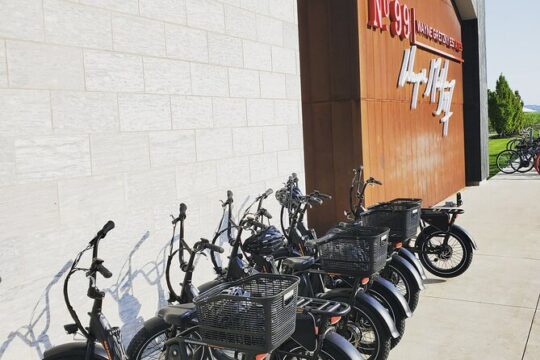 E-Bike Rental Explore in Niagara-on-the-Lake