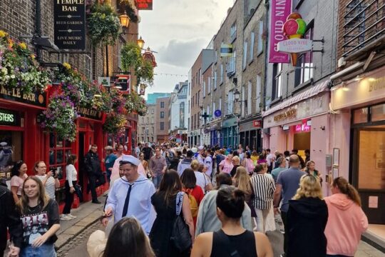 Express Private Guided Walking Tour in Dublin