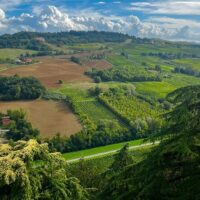 Bus & Minivan Tours