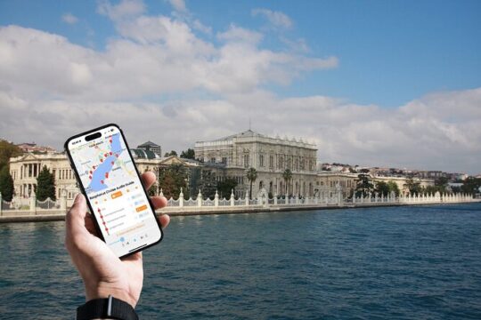Bosphorus Daytime or Sunset Sightseeing Cruise & Audio Guide