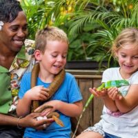 Shore Excursions
