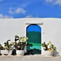 Tours & Sightseeing