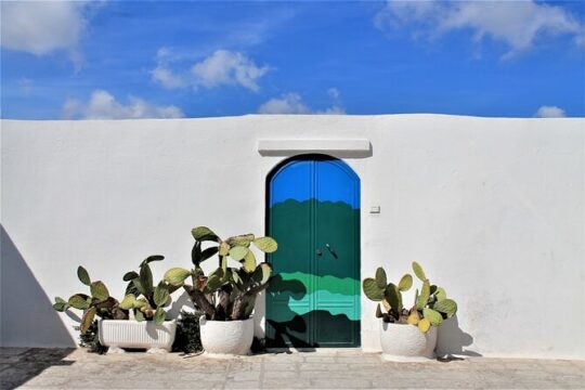 e-bike tour in the plain of the secular olive trees of Ostuni