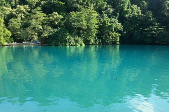 Tour to Fern Gully and Konoko Falls and Park