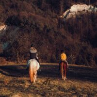 Horseback Riding