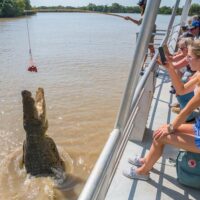 Catamaran Cruises