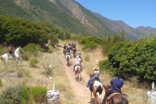 Desert Peaks on Horseback, Exploring Mountain Trails of Ensenada