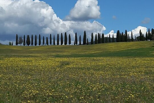 Discover the Hidden Gems of Val d'Orcia by Vespa!
