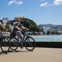 Self-guided Tours & Rentals