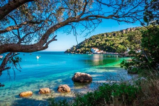 Small group tour in Azeitao, Arrabida and Sesimbra with Wine Tasting