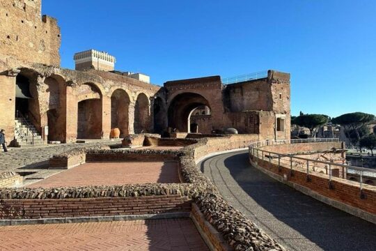 Colosseum Arena and Undergrounds of San Clemente Private Tour