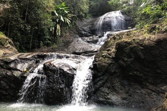 Rainforest Hike and Waterfall Safari