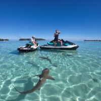 Waterskiing & Jetskiing