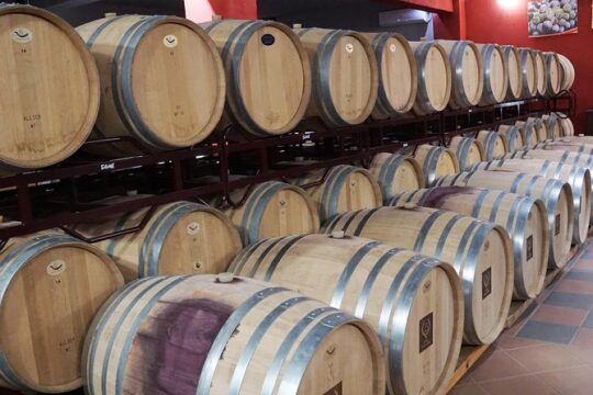 Wine Roads Private Day Tour: Corinth - Ancient Nemea & Wine Tasting