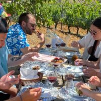Private & Custom Tours
