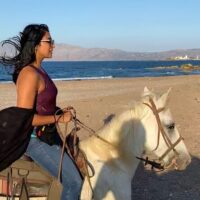 Weddings & Honeymoons
