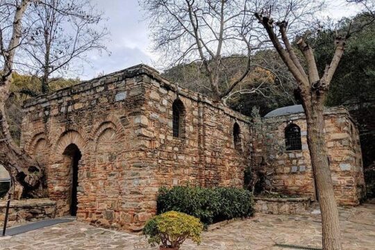 CRUISE PASSENGERS: Ephesus & Terrace Houses & Virgin Mary Tour