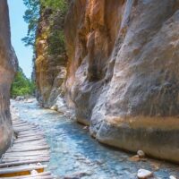 Tours & Sightseeing