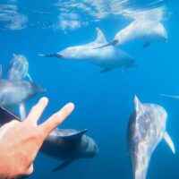 Snorkeling