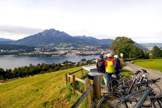 Panoramic E-Bike Tour with a Lake Cruise