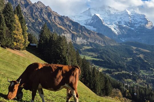 Sunset hike with outdoor Cheese Fondue dinner