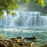 Tours & Sightseeing