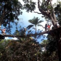 Ziplines