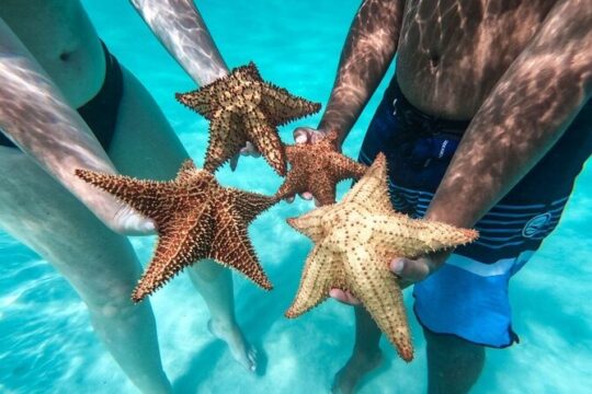 Saona Island Day Tour