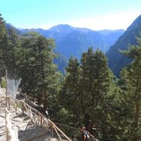 Eco Tours