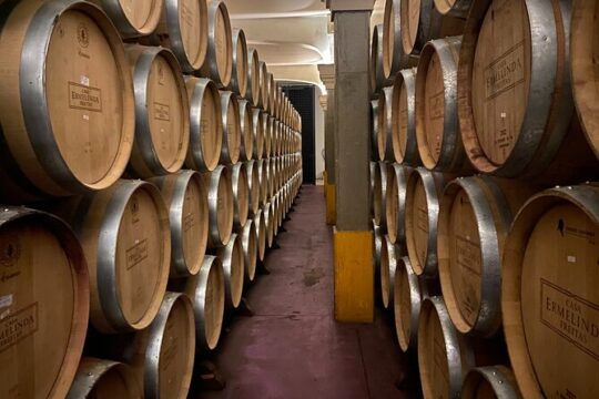 Lisbon Northern Region Wine Tasting Private Tour