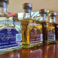 Wine Tasting & Winery Tours