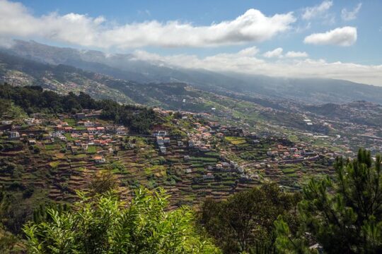 Real Life, Mountains & Sea Cliffs + Lunch + Levada walk - 6 hours