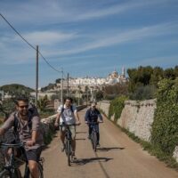 Ports of Call Tours