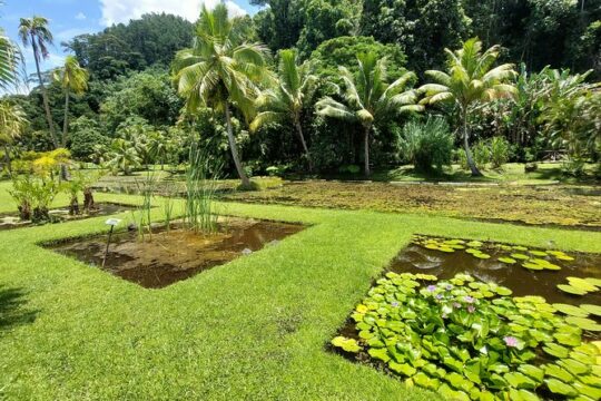 Tahiti Full Day Private Coastal Tour