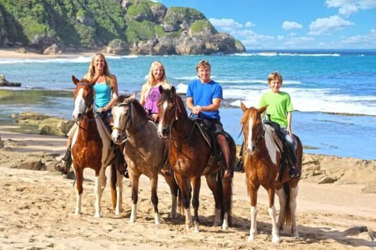Horseback Riding through Secluded Beaches and Tropical Forests