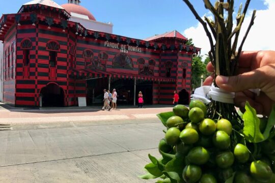 Around the Island Tour From San Juan