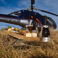 Food, Wine & Nightlife