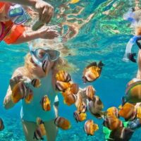 Snorkeling