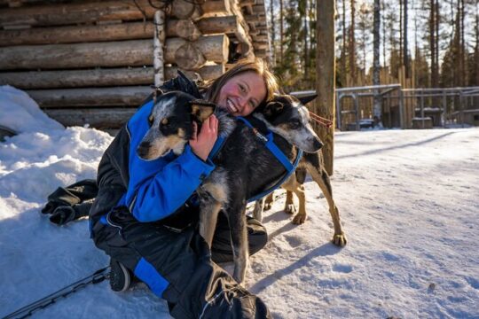 Rovaniemi: Husky Safari Tour & 6-10 km Self-Driving Mushing