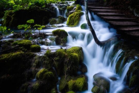 From Zadar: Plitvice Lakes Guided Day Tour with Tickets
