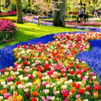 Plantation Tours