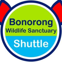 Bus Services