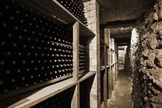 Stargazing with Diner and Crete Wine Tasting Private Tour