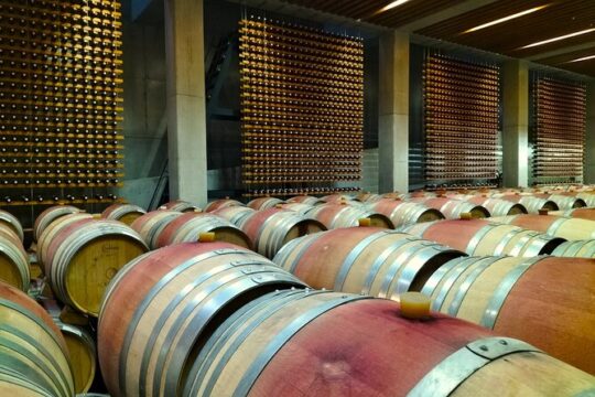 Tour to Óbidos, Mafra and 3 Wineries with 15 Tastings from Lisbon