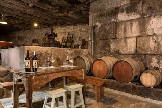 Douro Wine Tasting at a Family Winery in Portugal